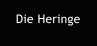 Die Heringe