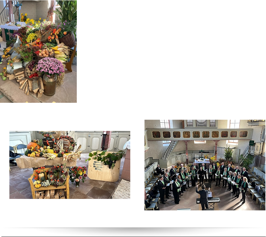 03.10.24 > Ihr von morgen werdet neue Wege gehn  Erntedank! Prächtiger hätte der letzte Sonntagmorgen im September in der gut besuchten Kaicher Kirche nicht sein können. Der strahlende Sonnenschein brach durch die hohen Fenster herein und ließ die bunten Früchte aus Garten und Feld leuchten, mit denen die Mitglieder des Kirchenvorstands den Altarraum und das Taufbecken wieder großartig geschmckt hatten. Passend dazu eröffnete der gemischte Chor der Chorgemeinschaft Kaichen unter Leitung von Valentin Haller den Gottesdienst mit dem hymnischen „Lobsinget Gott dem Herrn“ von Camille Saint-Saens. Pfarrerin Corinna Englisch-Illing bezog auch diesmal die Jugendlichen und Kinder der Gemeinde mit ein, ließ sie Getreide und Apfelschnitzen in den Kirchenbänken verteilen, Texte der Konfirmanden vortragen und holte sie mit ihrer Ansprache über Bienen und ihre Bedeutung für die Schöpfung und unsere Ernährung ab.  Natürlich durfte da auch ein Kinderlied nicht fehlen: „Du hast uns Deine Welt geschenkt“. Erhaben erklangen von der Gemeinde „Wir pflgen und wir streuen“ sowie das „Dankelied“ in einer Erntedank-Version. Den Abschluss des Abendmahlgottesdienstes gestaltete wiederum der Chor mit dem bekennenden „Ihr von morgen“ von Udo Jrgens, das die Hoffnung auf neue Wege kommender Generationen und die Bewahrung der Schöpfung zum Ausdruck bringt.      Im Anschluss ließen sich die Gemeindemitglieder die Feldfrüchte in Form von Kürbis- und Kartoffelsuppe schmecken, die die Landfrauen samt Kaffee und Kuchen im Kaicher Gemeindehaus vorbereitet hatten.